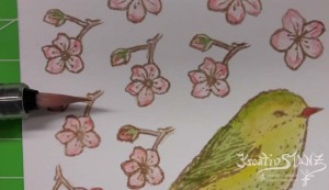 Kreativ-Stanz Frühling Vogelhochzeit Stempelset und Thinlits Blumen und Vögel von Stampin’ Up! Hochzeit Geburtstag #stampinup #spring http://kreativstanz.bastelblogs.de/